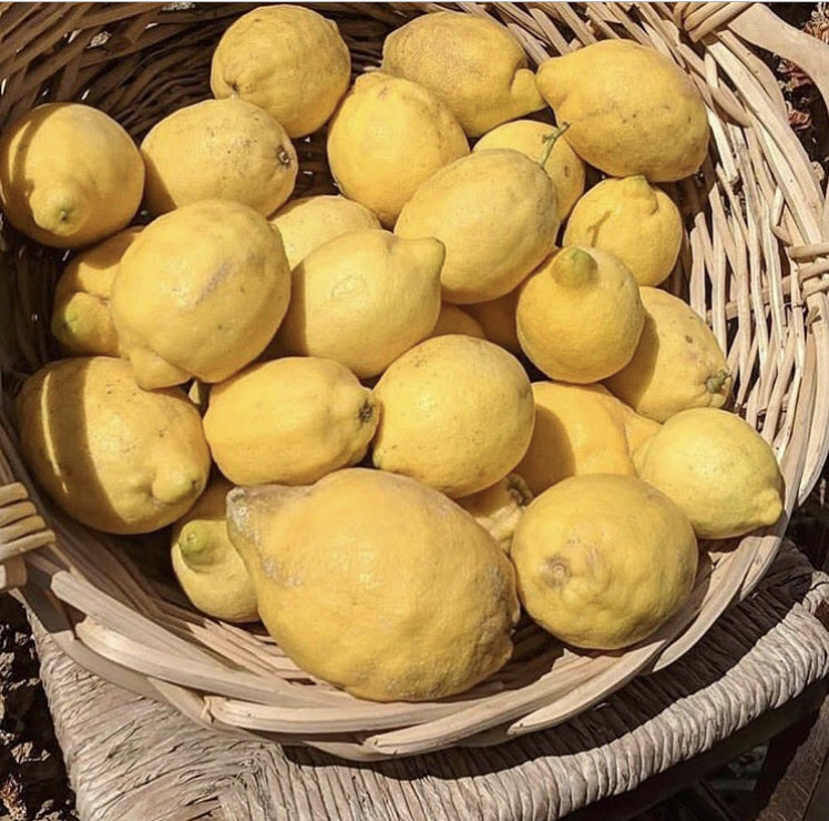A basket of lemons via @casa.mansur