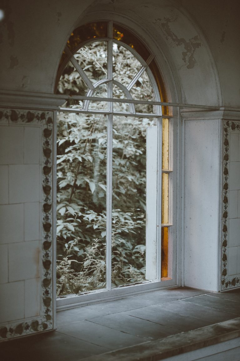 Window and leaves