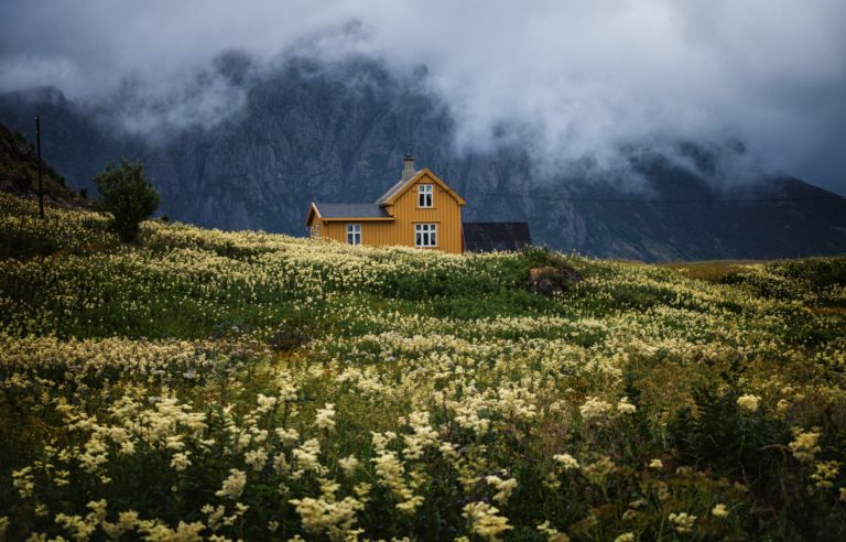 Yellow house in field
