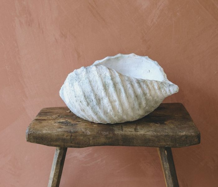 Large conch shell from Graham & Green