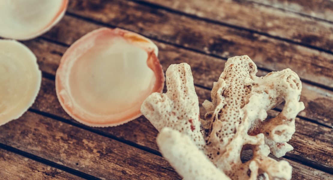 Incorporate shells into a Cancer season interior
